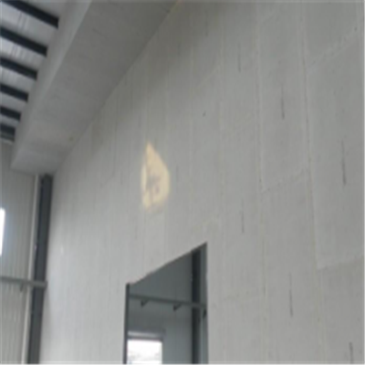 渑池宁波ALC板|EPS加气板隔墙与混凝土整浇联接的实验研讨